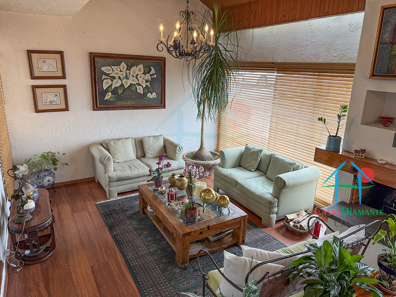 Desierto de los Leones Casa Claudia EHIB - Sala 6 Desierto de los Leones Casa Claudia EHIB - Sala 6